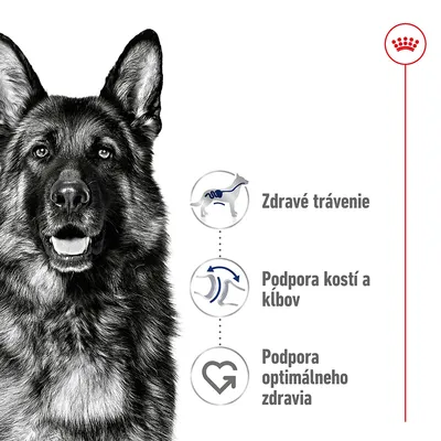Zdravé trávenie, podpora kostí a kĺbov, podpora optimálneho zdravia – grafické ikony s textom vedľa obrázka psa. Hore vpravo červená korunka Royal Canin.