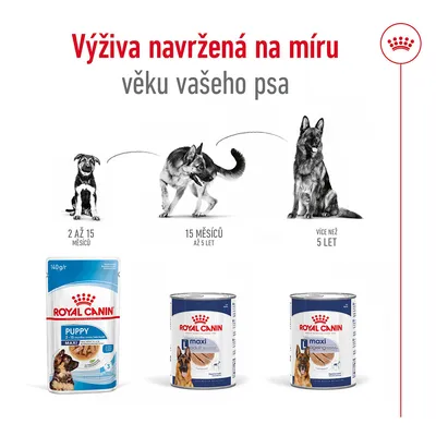 Royal Canin: výživa navržená na míru věku psa. Produkty Puppy 2–15 měsíců, Maxi Adult 15 měsíců až 5 let, Maxi Ageing více než 5 let. Ilustrace psů podle věku.