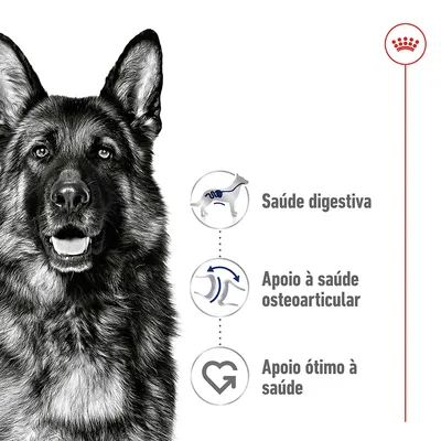 Royal Canin Maxi Adult
