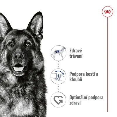 Německý ovčák vedle ikon a textu: Zdravé trávení, Podpora kostí a kloubů, Optimální podpora zdraví. Vpravo nahoře značka Royal Canin.