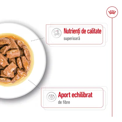 Bol cu hrană umedă pentru animale, text vizibil: 'Nutrienți de calitate superioară' și 'Aport echilibrat de fibre'.