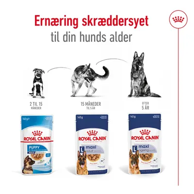 Royal Canin Puppy 2–15 måneder, Maxi Adult 15 måneder–5 år, Maxi Ageing efter 5 år. Ernæring skræddersyet til din hunds alder. Tre poser med forskellige varianter vises.