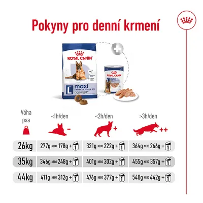 Pokyny pro denní krmení Royal Canin maxi ageing 8+; tabulka dávkování podle váhy psa (26, 35, 44 kg) a denní aktivity, hodnoty v gramech suchého nebo mokrého krmiva.