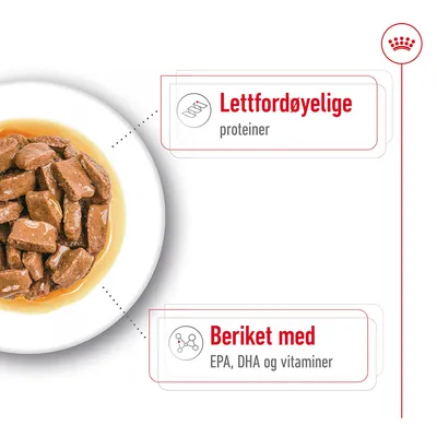 Royal Canin Maxi Ageing  i saus