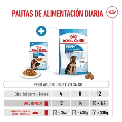 Royal Canin Maxi Puppy en salsa