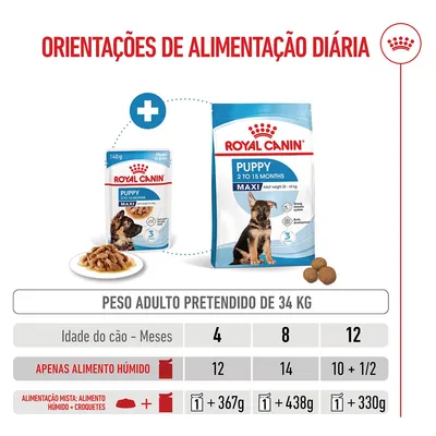 Royal Canin Maxi Puppy em molho