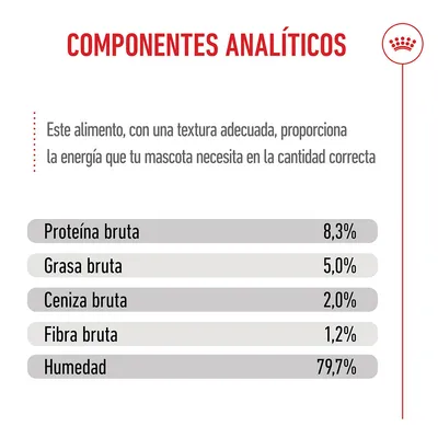 Royal Canin Maxi Puppy en salsa