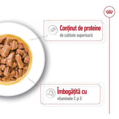 Conținut de proteine de calitate superioară. Îmbogățită cu vitaminele C și E.