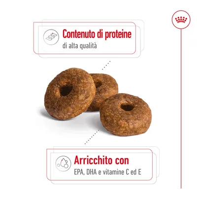 Crocchette con testo: Contenuto di proteine di alta qualità. Arricchito con EPA, DHA e vitamine C ed E.