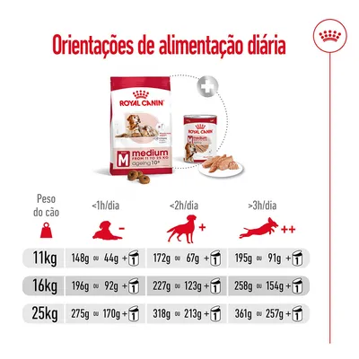 Orientações de alimentação diária Royal Canin Medium Ageing 10+: tabela para cães de 11 kg, 16 kg e 25 kg com quantidades em gramas de ração seca ou húmida conforme tempo de atividade diária.