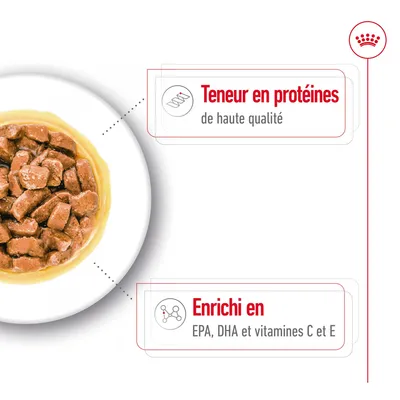 Teneur en protéines de haute qualité. Enrichi en EPA, DHA et vitamines C et E.
