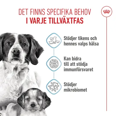 Royal Canin Medium Starter Mother & Babydog Royal Canin Medium Starter Mother & Babydog