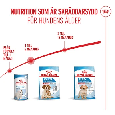 Royal Canin Medium Starter Mother & Babydog Royal Canin Medium Starter Mother & Babydog
