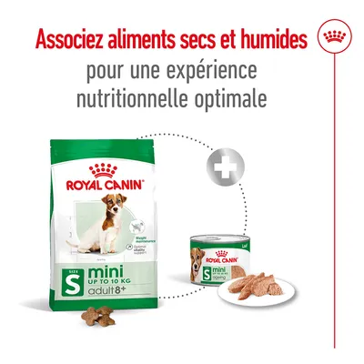 ROYAL CANIN mini adult 8+ jusqu’à 10 kg, aliments secs et humides. Texte : Associez aliments secs et humides pour une expérience nutritionnelle optimale.