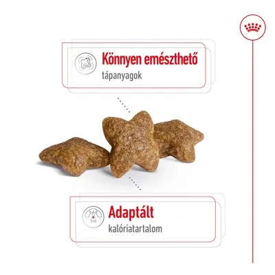 Könnyen emészthető tápanyagok, adaptált kalóriatartalom feliratú kép, három csillag alakú száraztáppal.