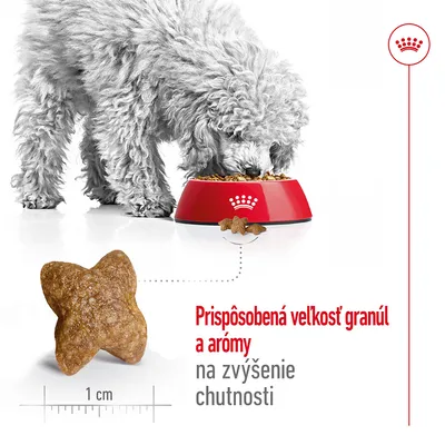 Pes pri miske s granulami Royal Canin, detail granule veľkosti 1 cm. Text: Prispôsobená veľkosť granúl a arómy na zvýšenie chutnosti.