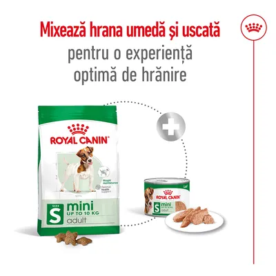 Royal Canin mini adult până la 10 kg, hrană uscată și umedă pentru câini. Text: Mixează hrana umedă și uscată pentru o experiență optimă de hrănire.