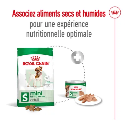 Associez aliments secs et humides pour une expérience nutritionnelle optimale. Sacs et boîte Royal Canin mini adult jusqu’à 10 kg, croquettes et pâtée visibles.