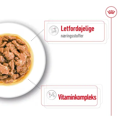 Skål med vådfoder. Tekst: Letfordøjelige næringsstoffer, Vitaminkompleks.