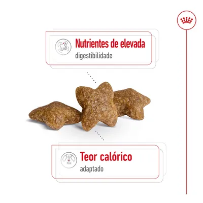 Três croquetes em forma de estrela com texto: 'Nutrientes de elevada digestibilidade' e 'Teor calórico adaptado'. Três croquetes em forma de estrela com texto: 'Nutrientes de elevada digestibilidade' e 'Teor calórico adaptado'.