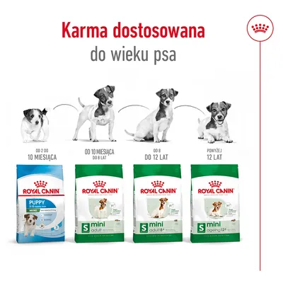 Karma Royal Canin Mini: Puppy 2–10 miesięcy, Adult do 8 lat, Adult 8+ do 12 lat, Ageing powyżej 12 lat. Zalecenia wiekowe i opakowania widoczne na ilustracji.