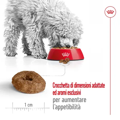 Cane che mangia da una ciotola rossa Royal Canin, crocchetta tonda di 1 cm. Testo: Crocchetta di dimensioni adattate ed aromi esclusivi per aumentare l’appetibilità.