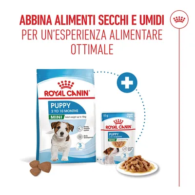 Royal Canin Mini Puppy in salsa