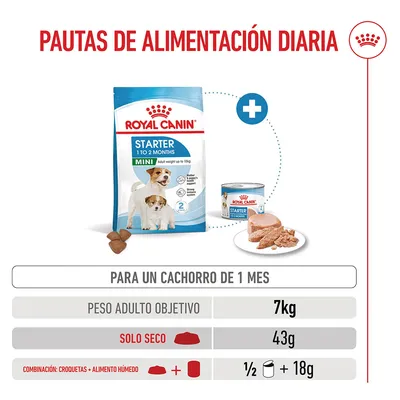 Royal Canin Mini Starter Mother & Babydog