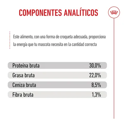 Royal Canin Mini Starter Mother & Babydog