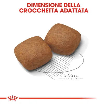 Royal Canin Giant Junior Crocchette per cane