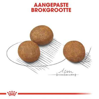 Drie ronde brokken met tekst 'AANGEPASTE BROKGROOTTE' en een schaaltekening met aanduiding 1 cm, ter illustratie van de grootte van de brokken.