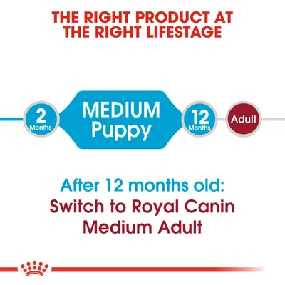 Teksti englanniksi: MEDIUM Puppy 2–12 kuukautta. After 12 months old: Switch to Royal Canin Medium Adult. THE RIGHT PRODUCT AT THE RIGHT LIFESTAGE.