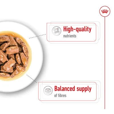 Image showing food chunks in gravy with highlighted features: high-quality nutrients and balanced supply of fibres.