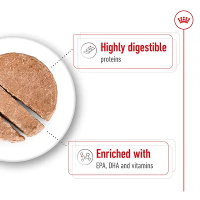 Highly digestible proteins. Enriched with EPA, DHA and vitamins.