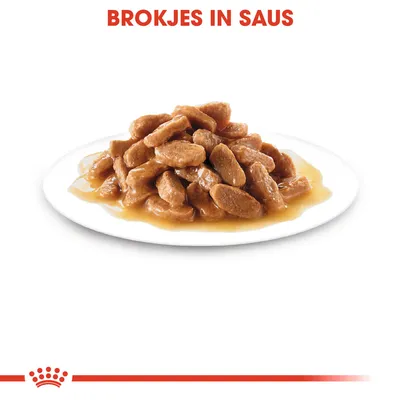 Brokjes in saus op een wit bord, tekst bovenaan: 'BROKJES IN SAUS'.