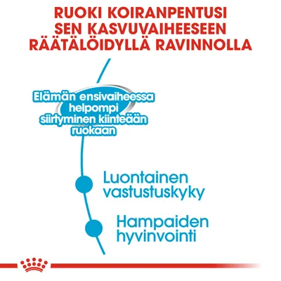 Ruoki koiranpentusi sen kasvuvaiheeseen räätälöidyllä ravinnolla. Elämän ensivaiheessa helpompi siirtyminen kiinteään ruokaan, luontainen vastustuskyky, hampaiden hyvinvointi.
