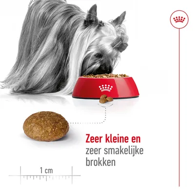 Hond eet uit rode voerbak met brokken, close-up van een brok naast liniaal van 1 cm. Tekst: Zeer kleine en zeer smakelijke brokken.