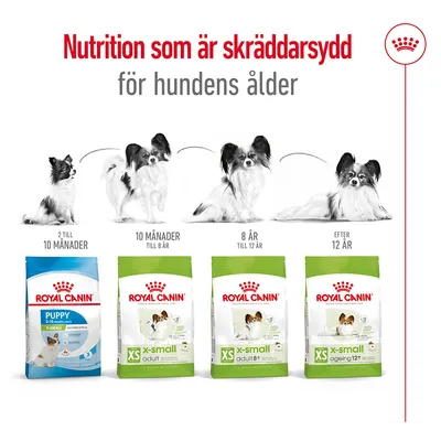 Royal Canin hundfoder för olika åldrar: Puppy 2–10 månader, X-Small Adult 10 månader–8 år, X-Small Adult 8+ 8–12 år, X-Small Ageing 12+ efter 12 år. Illustrationer av små hundar.