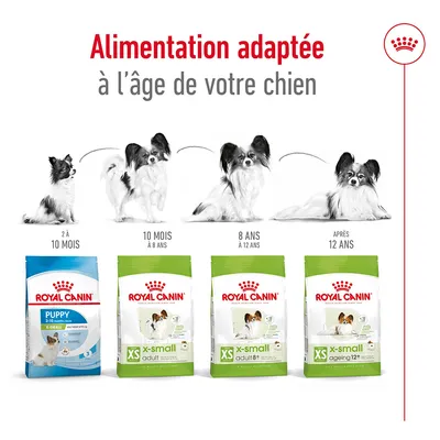 Alimentation adaptée à l’âge de votre chien : Royal Canin Puppy 2–10 mois, X-Small Adult 10 mois–8 ans, X-Small Adult 8+ 8–12 ans, X-Small Ageing 12+ après 12 ans.