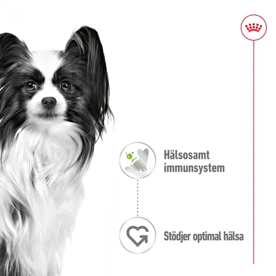 Text: Hälsosamt immunsystem, Stödjer optimal hälsa. Två ikoner bredvid texten och en svartvit hund synlig till vänster.