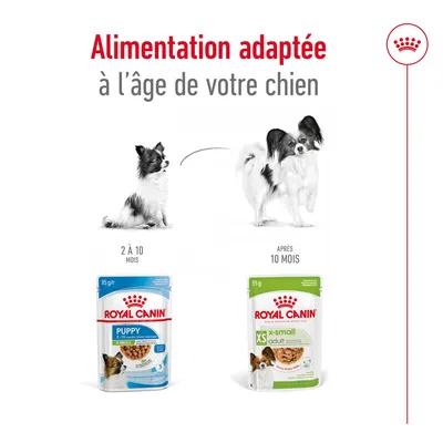 Alimentation adaptée à l’âge de votre chien : Royal Canin Puppy 2–10 mois, Royal Canin XS Adult après 10 mois, sachets 85 g. Chien illustré en chiot et adulte.