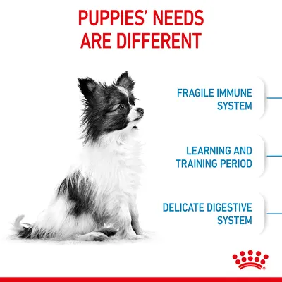 Text: Puppies’ needs are different. Fragile immune system, learning and training period, delicate digestive system. Image of a small black and white puppy. Royal Canin branding visible.
