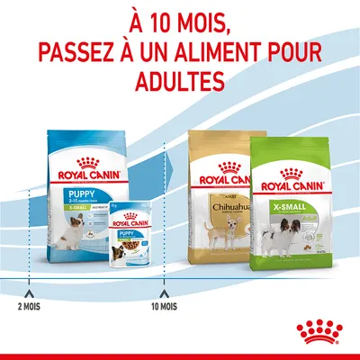 À 10 mois, passez à un aliment pour adultes. Royal Canin Puppy 2–10 mois, puis Royal Canin Adulte Chihuahua ou X-Small Adult à partir de 10 mois. Visuels des paquets et boîtes.