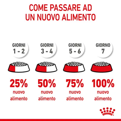 Guida al cambio alimentare: giorni 1–2 25% nuovo alimento, giorni 3–4 50%, giorni 5–6 75%, giorno 7 100%. Testo: Come passare ad un nuovo alimento. Marchio Royal Canin visibile.