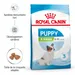 Royal Canin X-Small Puppy pour chiot