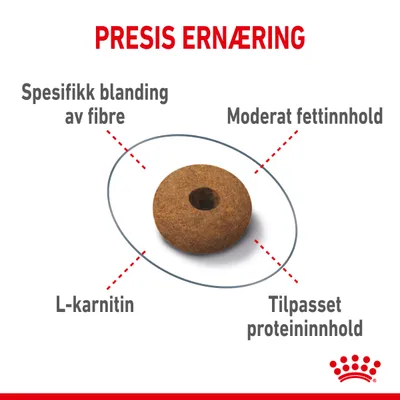 Royal Canin Appetite Control Care