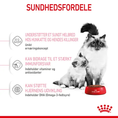 SUNDHEDSFORDELE: Understøtter et sundt helbred hos hunkatte og killinger, kan bidrage til stærkt immunforsvar, kan støtte hjernens udvikling. Royal Canin skål med katte.