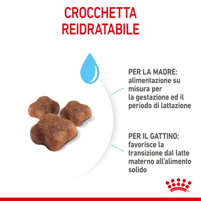 CROCCHETTA REIDRATABILE. PER LA MADRE: alimentazione su misura per la gestazione ed il periodo di lattazione. PER IL GATTINO: favorisce la transizione dal latte materno all’alimento solido.