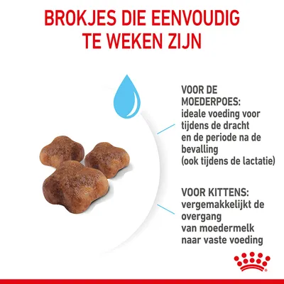 Brokjes die eenvoudig te weken zijn. Voor de moederpoes: ideale voeding tijdens dracht en na bevalling (ook lactatie). Voor kittens: vergemakkelijkt overgang van moedermelk naar vaste voeding.