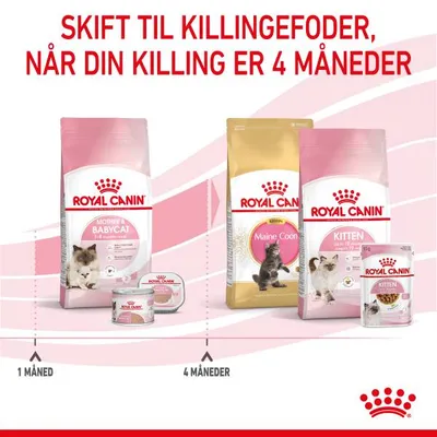 Royal Canin Mother & Babycat foder til killinger 1–4 måneder, Royal Canin Maine Coon Kitten og Kitten foder til killinger fra 4 måneder. Skift til killingefoder ved 4 måneder.
